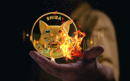 La caída de las tasas de quema de Shiba Inu: ¿Qué está detrás?