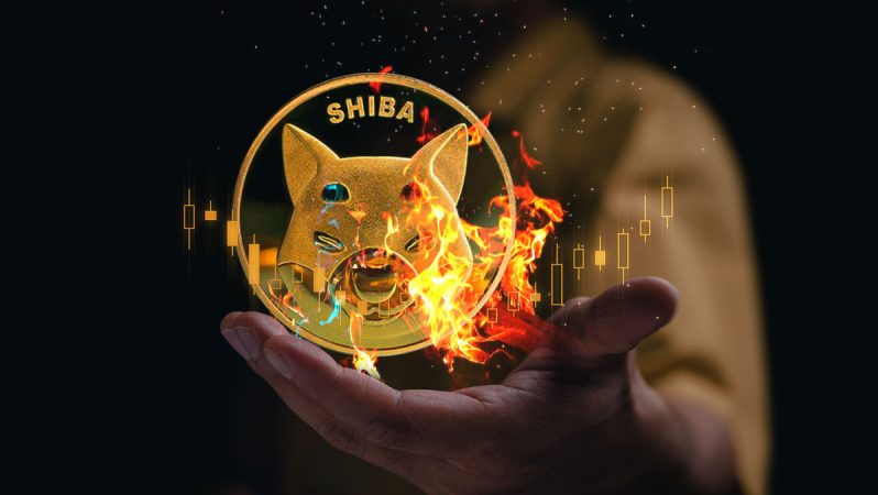 La caída de las tasas de quema de Shiba Inu: ¿Qué está detrás?